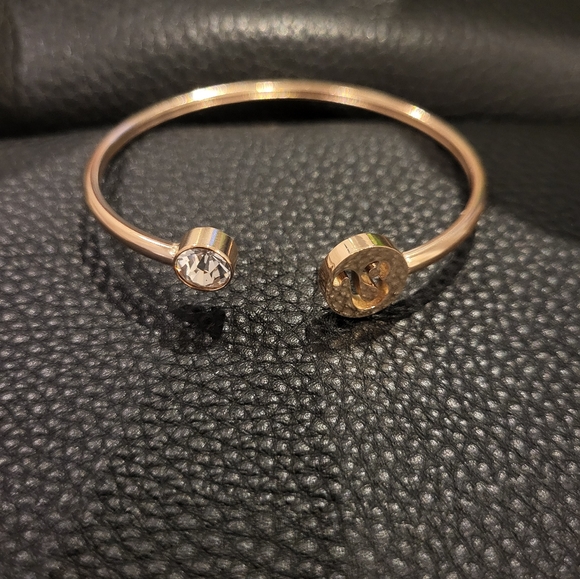 Stainless Steel Leo Bangle with Clear Crystal - Picture 5 of 7